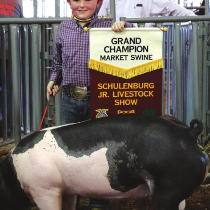 Schulenburg Junior Livestock Show Grand Champions & Buyers