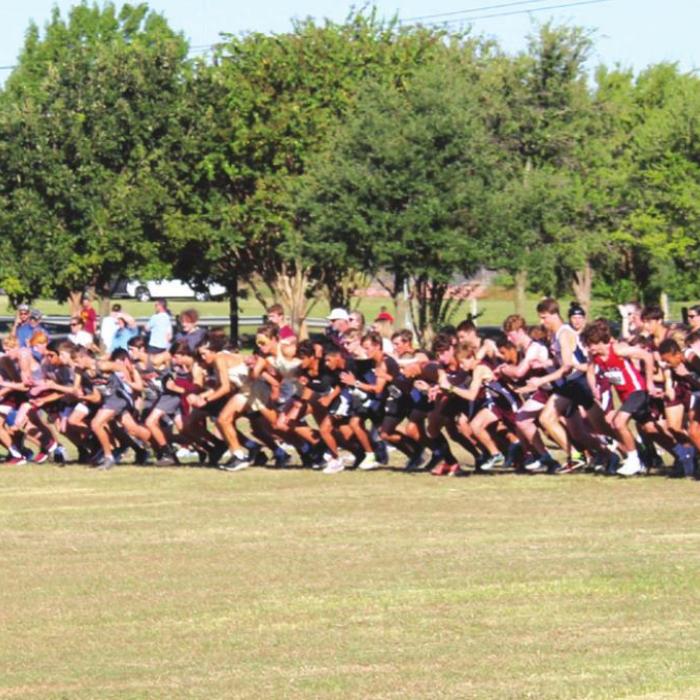 The start at last week’s cross country meet at McNeil.