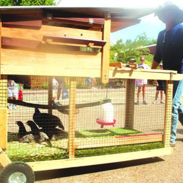 2025 Fayette County Fair Parade