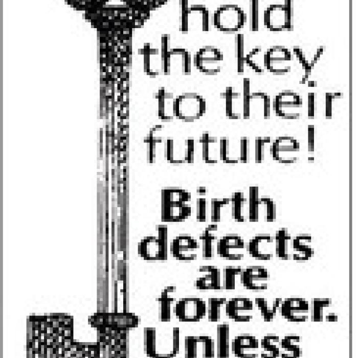 Alt Text for Image