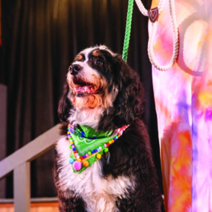 Wiley took home the “Best Wiggle Butt Strutt.”