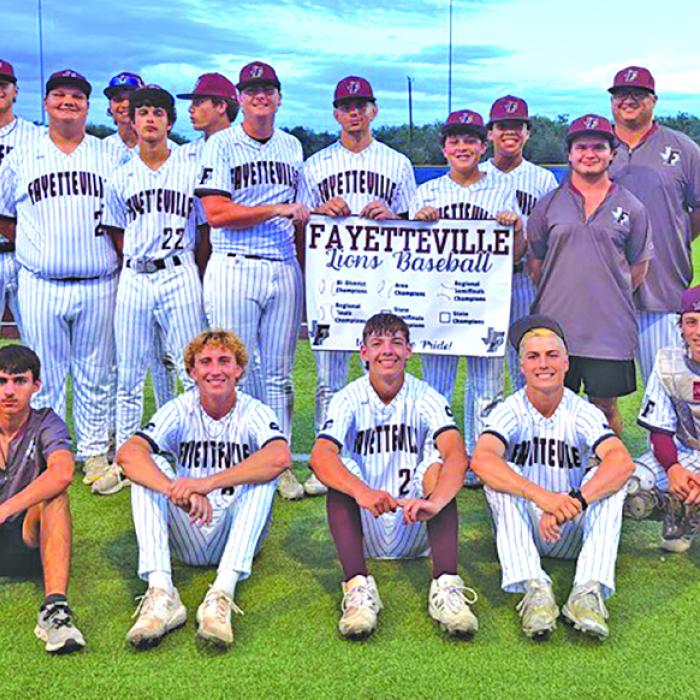 The members of the Fayetteville baseball team celebrate on the field in Somerset Thursday after winning the Region IV-1A title.