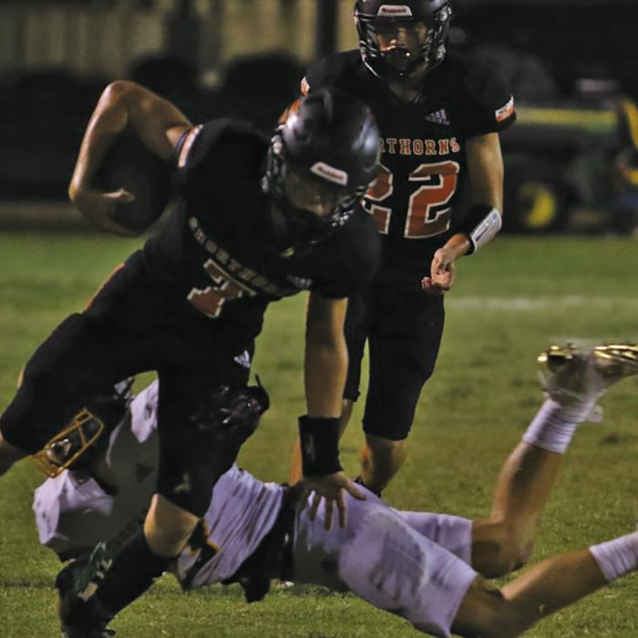 Shorthorns Still Looking for First Victory of Season
