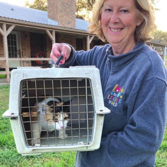 Heroic Efforts Save Cat Stuck Up a Tree in La Grange