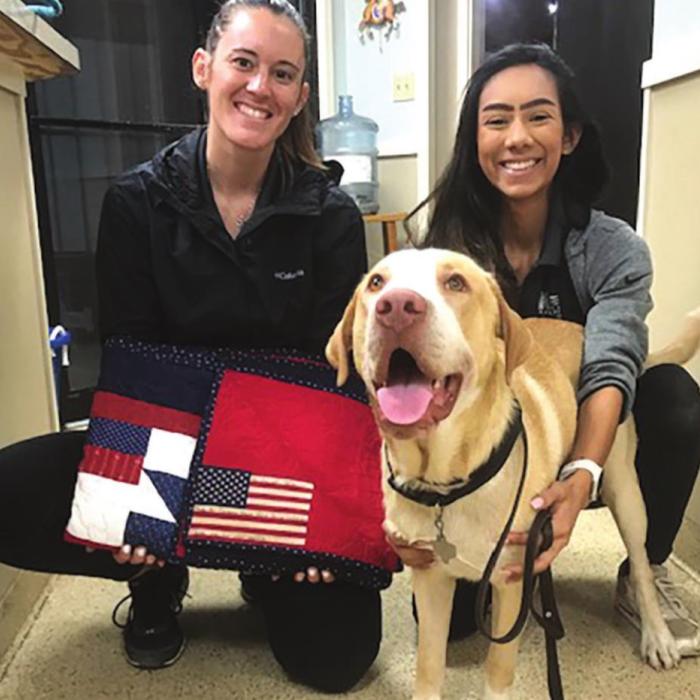Alt Text for Image