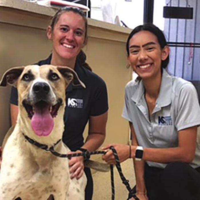 Above and left, Gardenia E. Janssen Animal Shelter personnel pose with a pair of shelter dogs that were chosen for the K(s for Warriors training program. In the above photo, also pictured is a quilt from Colorado Valley Quilt Guild’s Quilts of Valor program which is going along to eventually be gifted to one of the veterans, who get a canine.