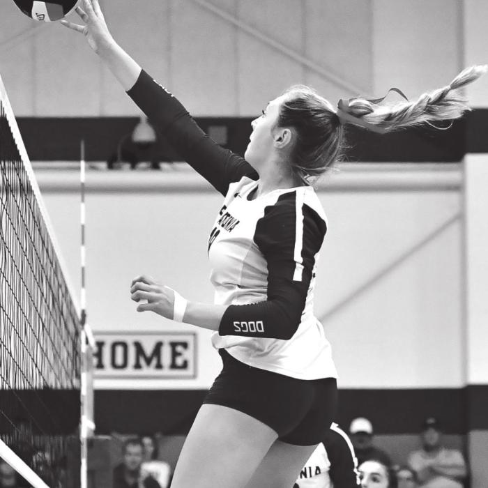 Karli Siptak goes up for the hit on Tuesday night when The Flatonia Lady Bulldogs faced off with The Weimar Lady Cats for the second round of district play. Photo by Stephanie Steinhauser