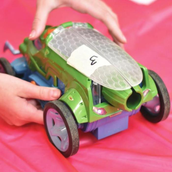 Bluebonnet Master Gardener Campers Race Crickets