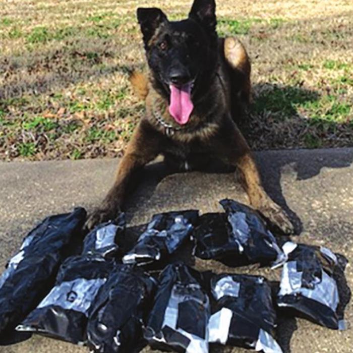 Kolt Finds $637,000 in Fentanyl