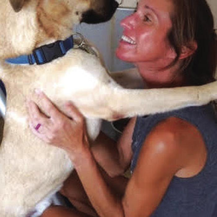 Animals Shelter Volunteers Talk About Their Motivation