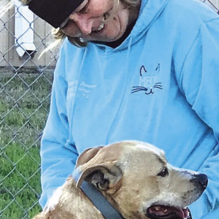 Animals Shelter Volunteers Talk About Their Motivation