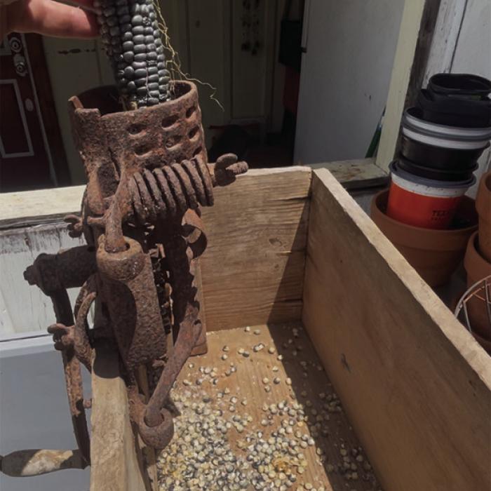 I found this old corn sheller in a barn many years ago and finally put it to use this weekend.