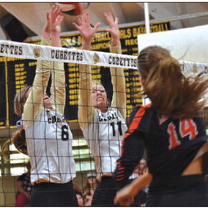 LG Beats Thorndale; Schulenburg Outlasts RT-C