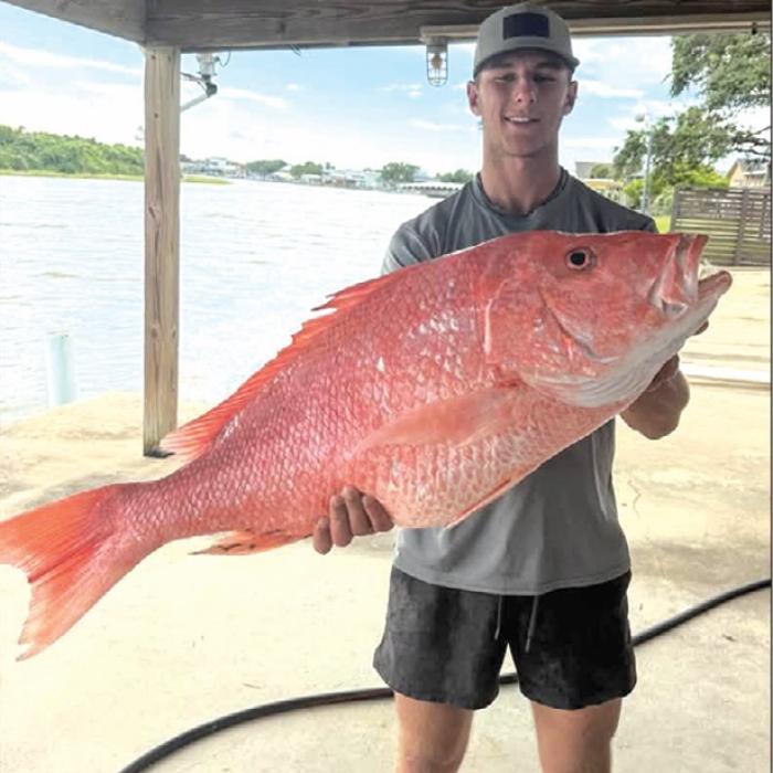 Quite a Fish Tale