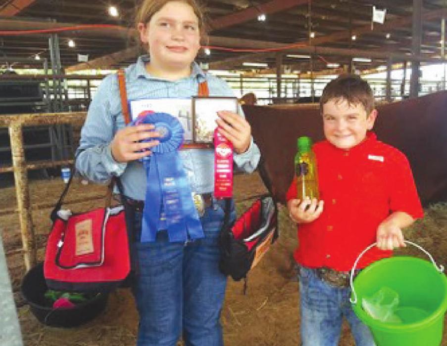 Rheagan and Rilan Karisch participated in the Fayette County Fair Livestock Show on Sunday.