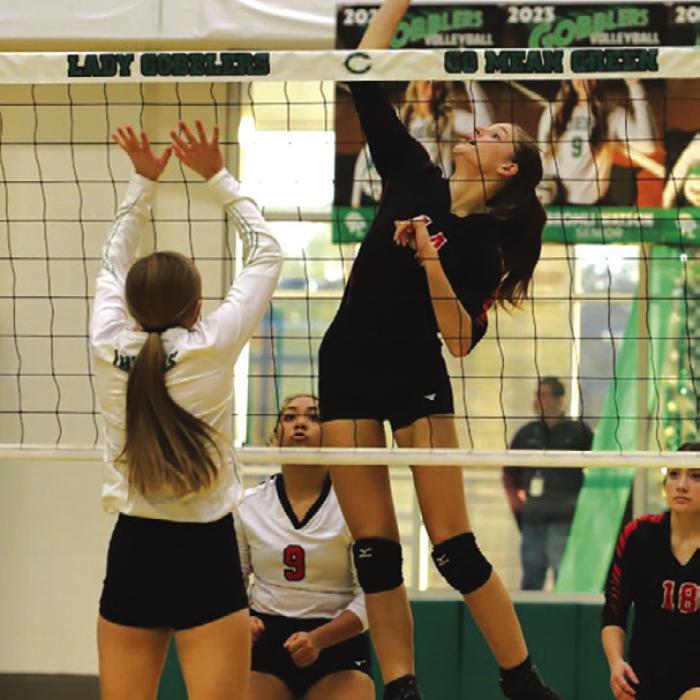 Four County Volleyball Teams Head to Playoffs’ Second Round