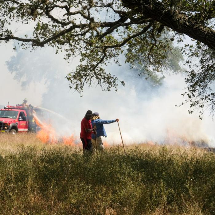 Saw Sparks 50-Acre Fire on Roznov Road