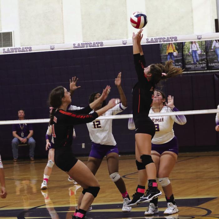 Lady Horns, Fayetteville Roll On