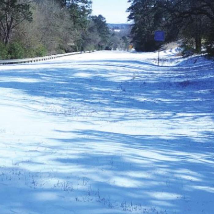 Warda in the Snow