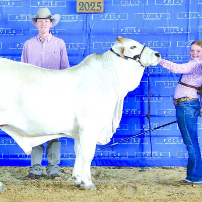 2025 Fayette Co. Junior Livestock Show Showmanship Winners