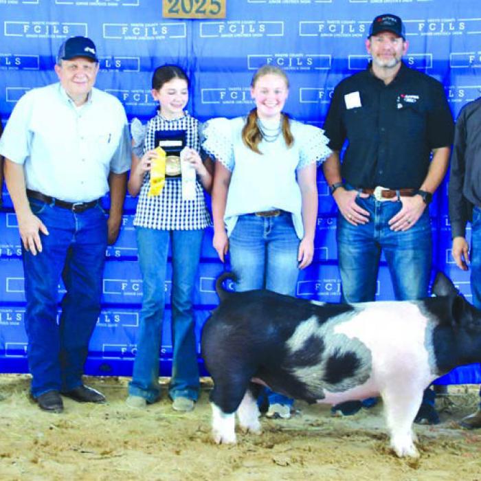 2025 Fayette Co. Junior Livestock Show Showmanship Winners