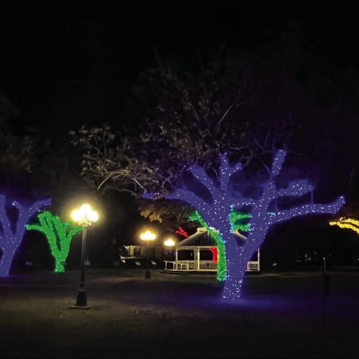 If you haven’t already done so, do yourself a favor and drive by the Fayette Public Library in La Grange at night to check out their new, beautiful Christmas light display, 10 trees, covered in lights, all coordinated by color. Photo by Jeff Wick