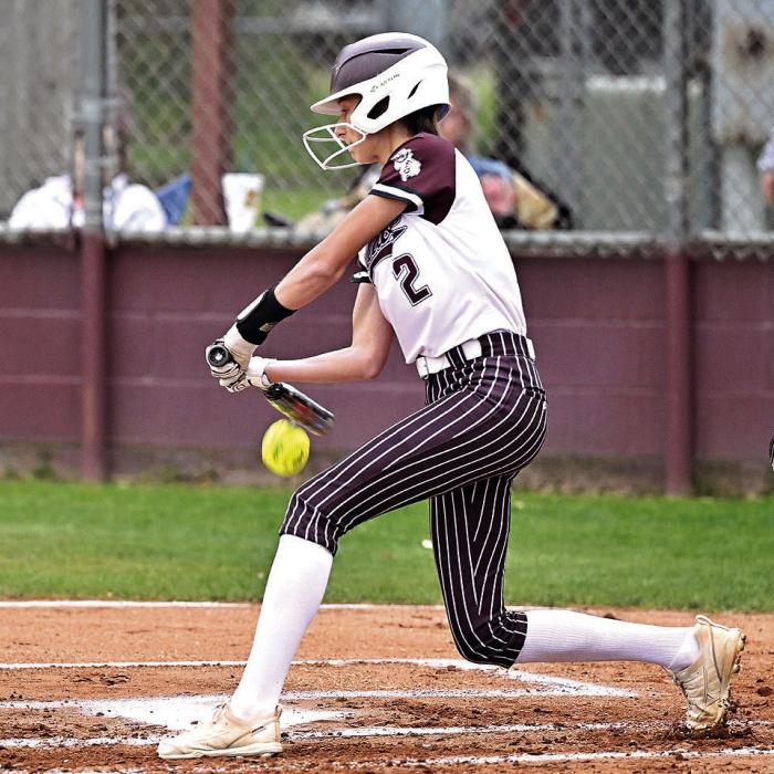 Area Baseball Roundup