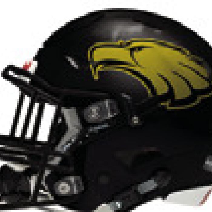 Schulenburg vs. Rogers