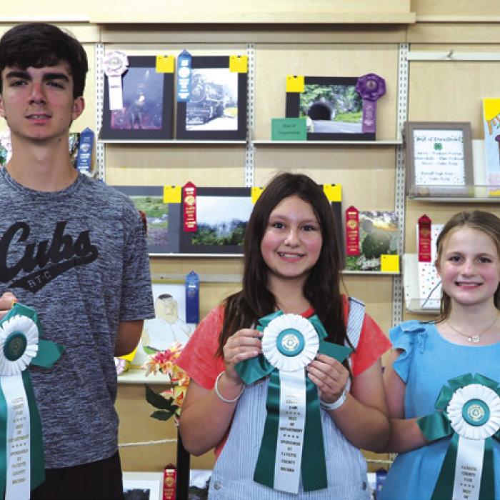Creative Arts (4-H): Senior Division-Caden Tovey-Rainbow Lamp Stained Glass; Intermediate Division-Elyse McBroom-Mountair Road Photo; And Junior Division-Madison Moreau-Green And Yellow Lap Quilt.