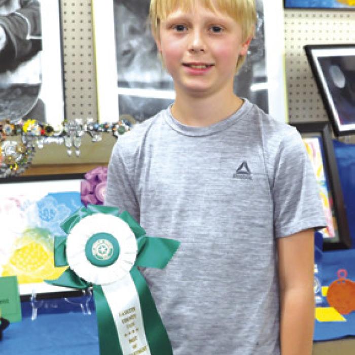 Fine Arts: Child Division (8-12)-Sebastian Lincoln-Flowers In Ink.