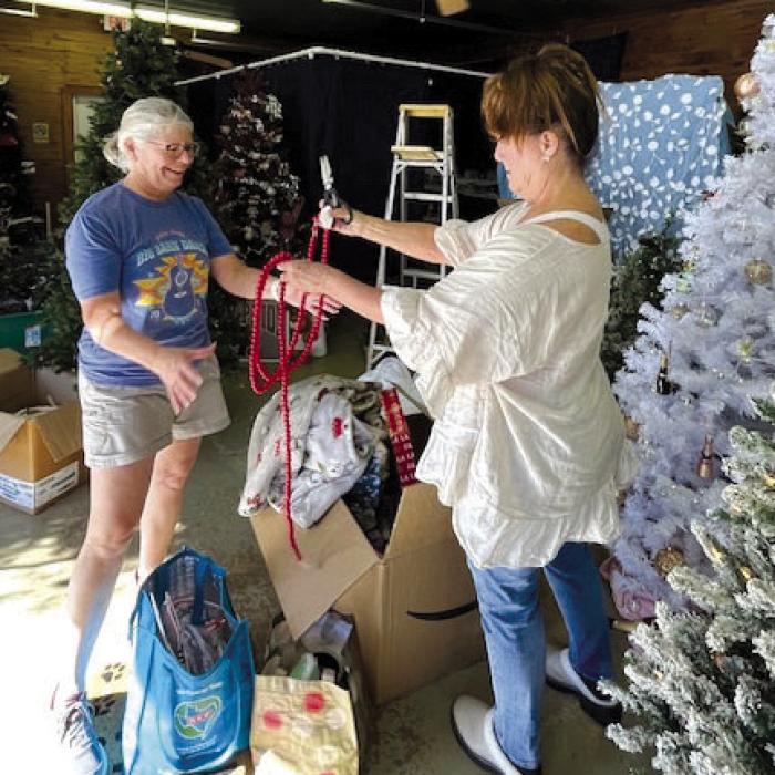 Fayetteville Christmas Tree Display Now Open
