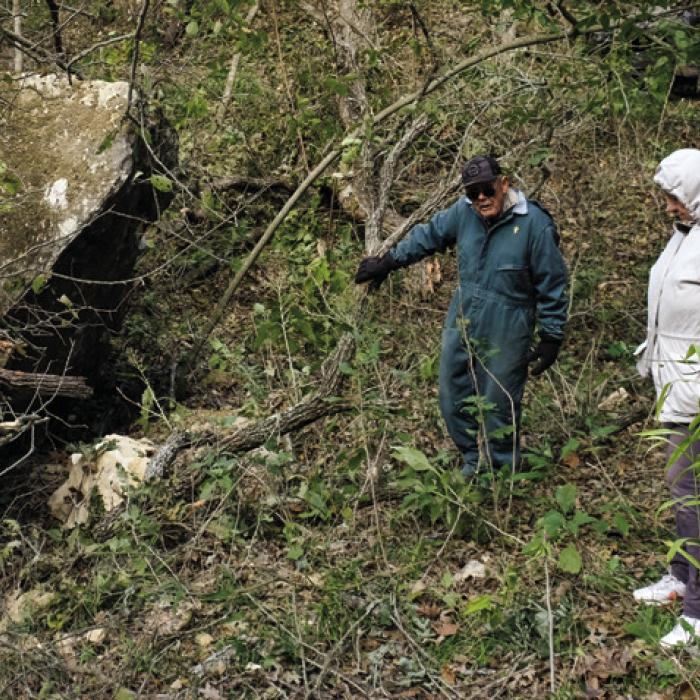 The Environment Around the Bluff