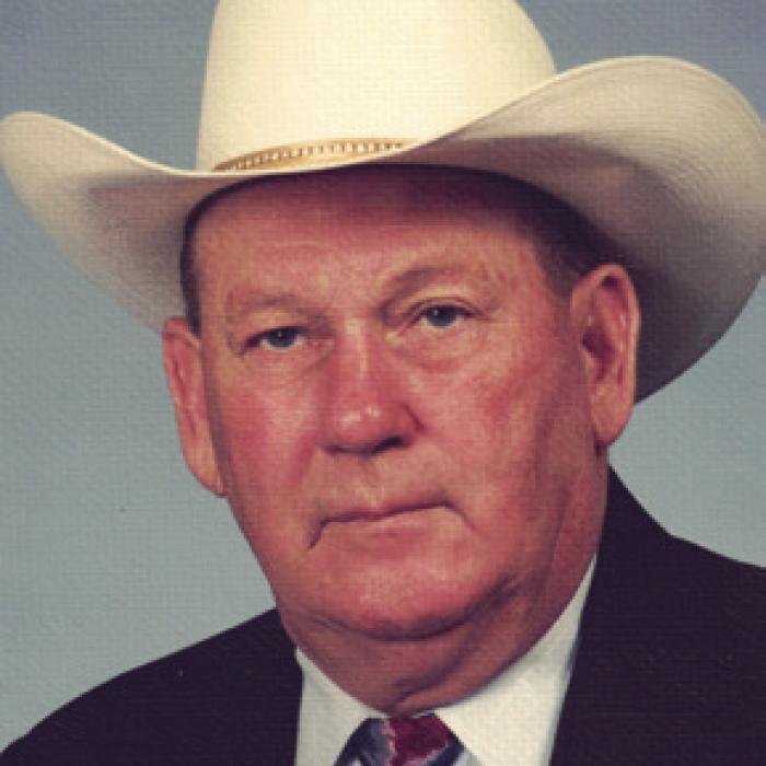 Cernosek