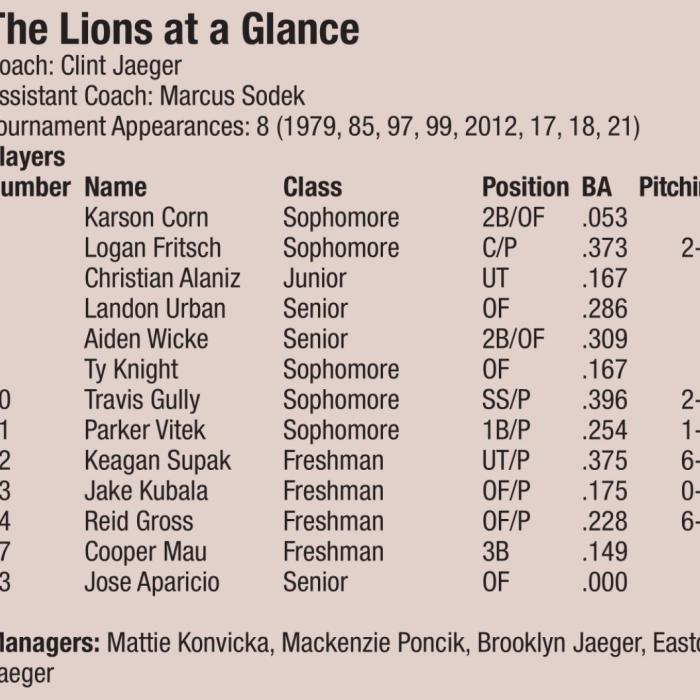 Lions Roar Back to Baseball State Semis for 8th Time in School History