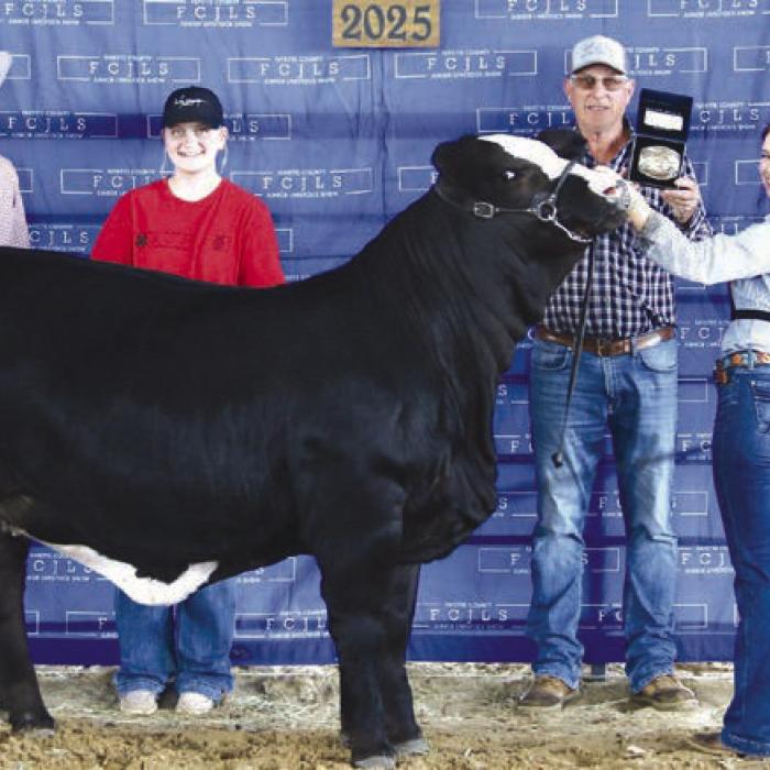 Senior Showmanship and Reserve Champion American Heifer - Harper Mau, Fayetteville 4-H/FFA Buckle Sponsor - Steven and Deborah Bertsch; John Mau, Caleb Boardman - Heifer Judge, Haley and Steven Bertsch, Sawyer Mau - Holding Bag, and Karolyn Mau.