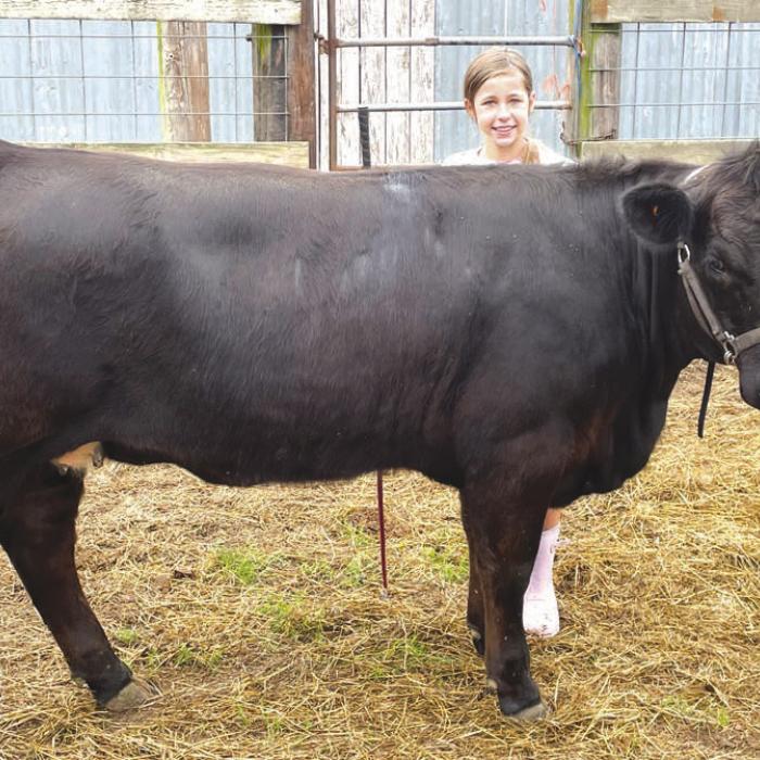 Reserve Champion Commercial Heifer - Emory Malota, Fayetteville 4-H; Emory Malota.