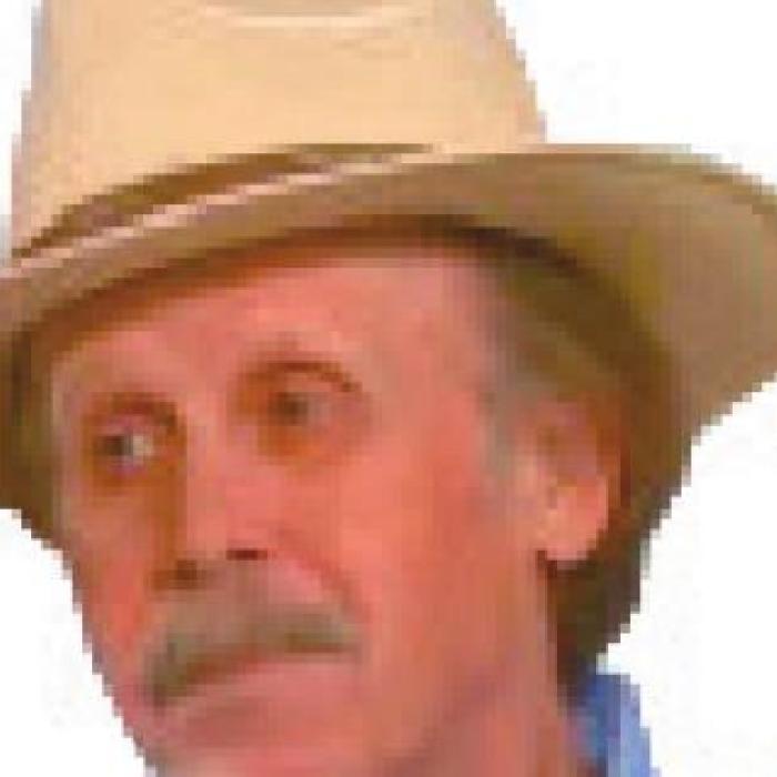 The Desperate Search of Britt Johnson