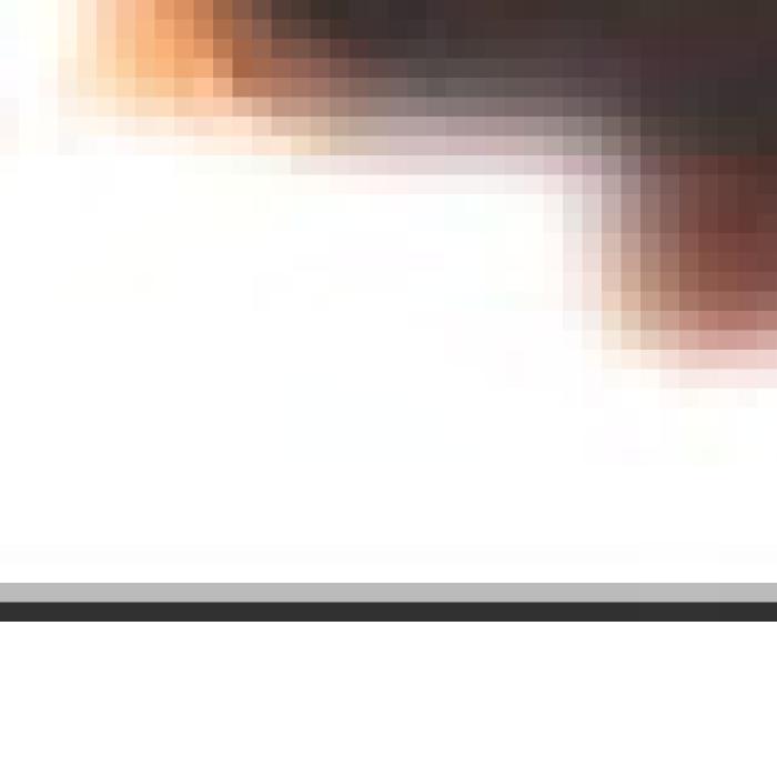 Alt Text for Image