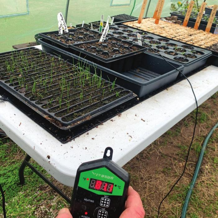 Trying Out a Heating Pad for the Seedlings