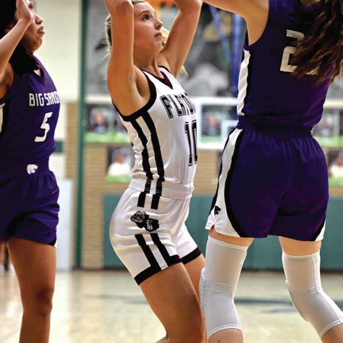Lady Bulldogs Fall in Area Round
