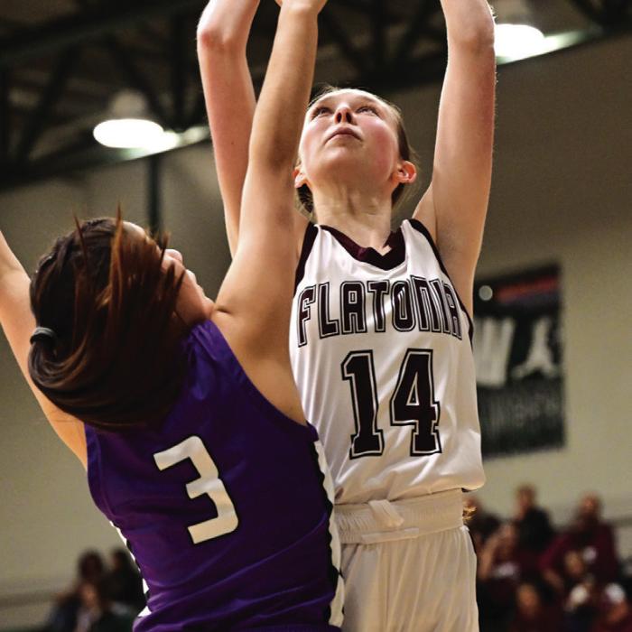 Lady Bulldogs Fall in Area Round