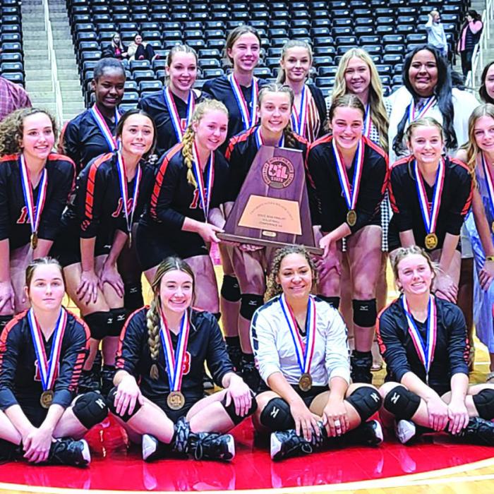Schulenburg Earns State Bronze