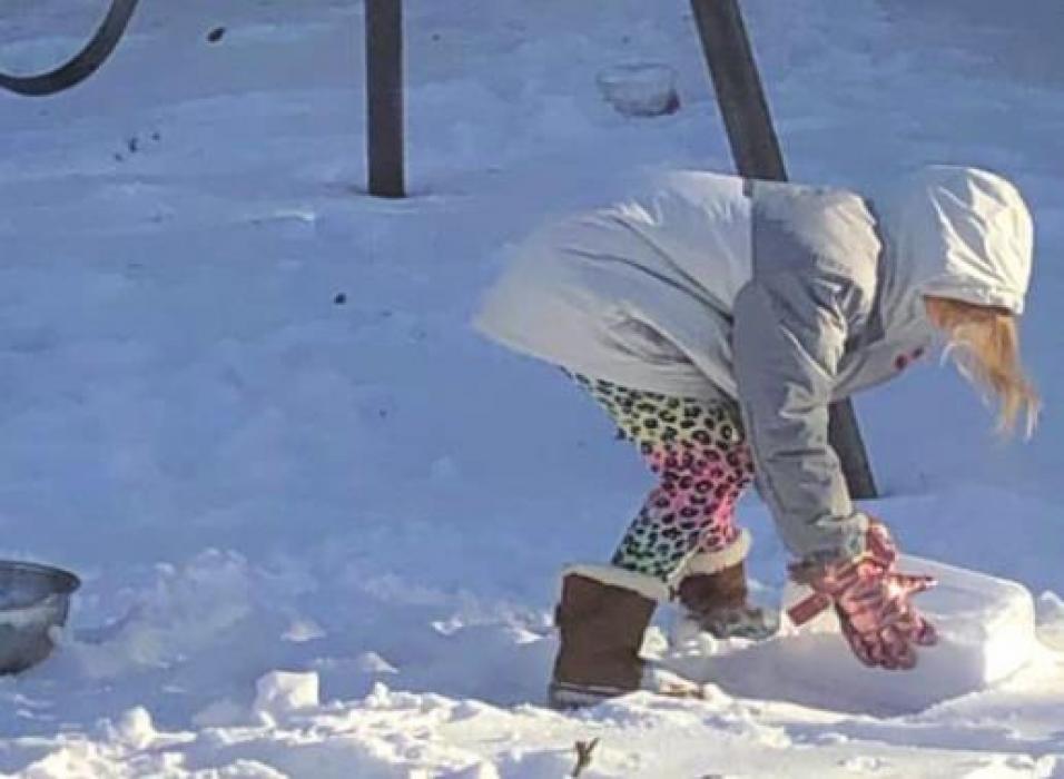 Brandon Schielack shared this photo of his daughter collecting snow for flushing toilets.