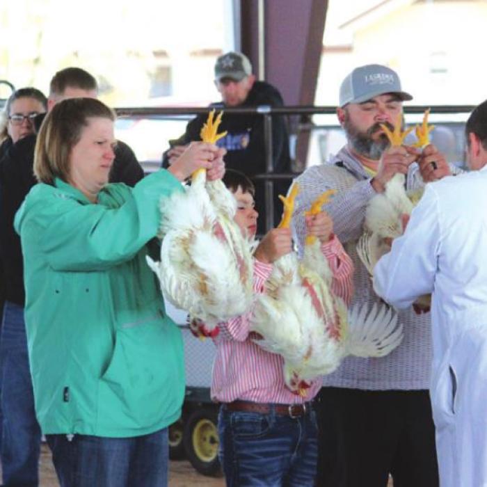 Fayette County Junior Livestock Show Champions Crowned