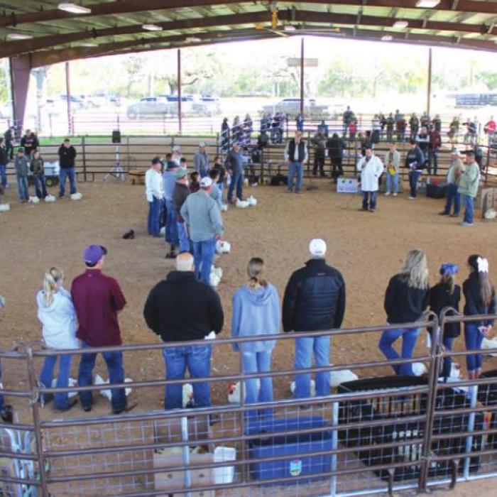 Fayette County Junior Livestock Show Champions Crowned