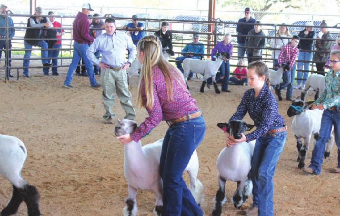 Fayette County Junior Livestock Show Champions Crowned