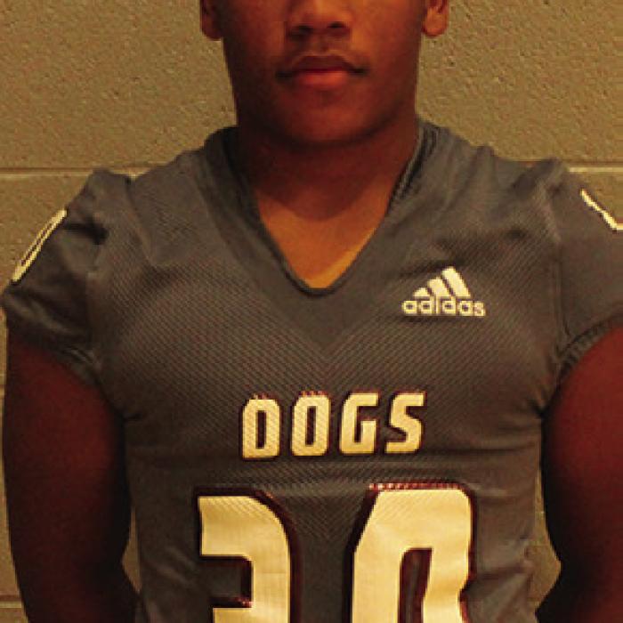 Shawn Willis ran for a touchdown Friday for the Bulldogs.
