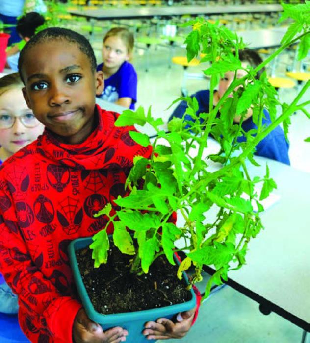 Second Graders Show Off Plants at Annual Show