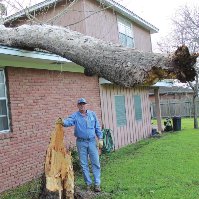 Storm’s Balancing Act