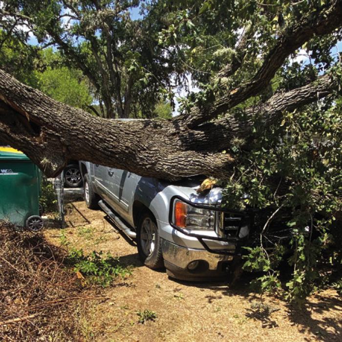A truck lies under this storm damage on Camp St. in La Grange. Photo courtesy of Joe Fietsam Jr.